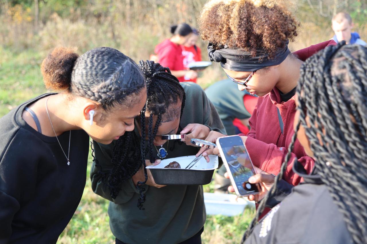 Three girls use a magnifying glass and tweezers to examine macroinvertebrates. 