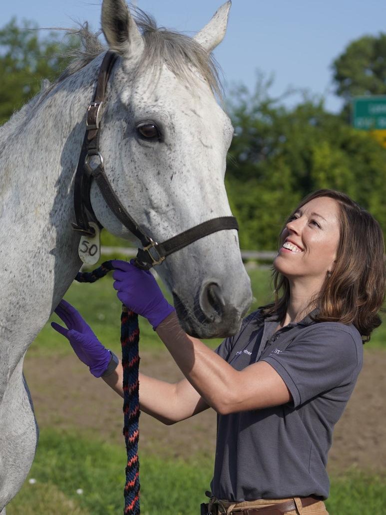 Dr. Alison Gardner, DVM, with a teaching horse