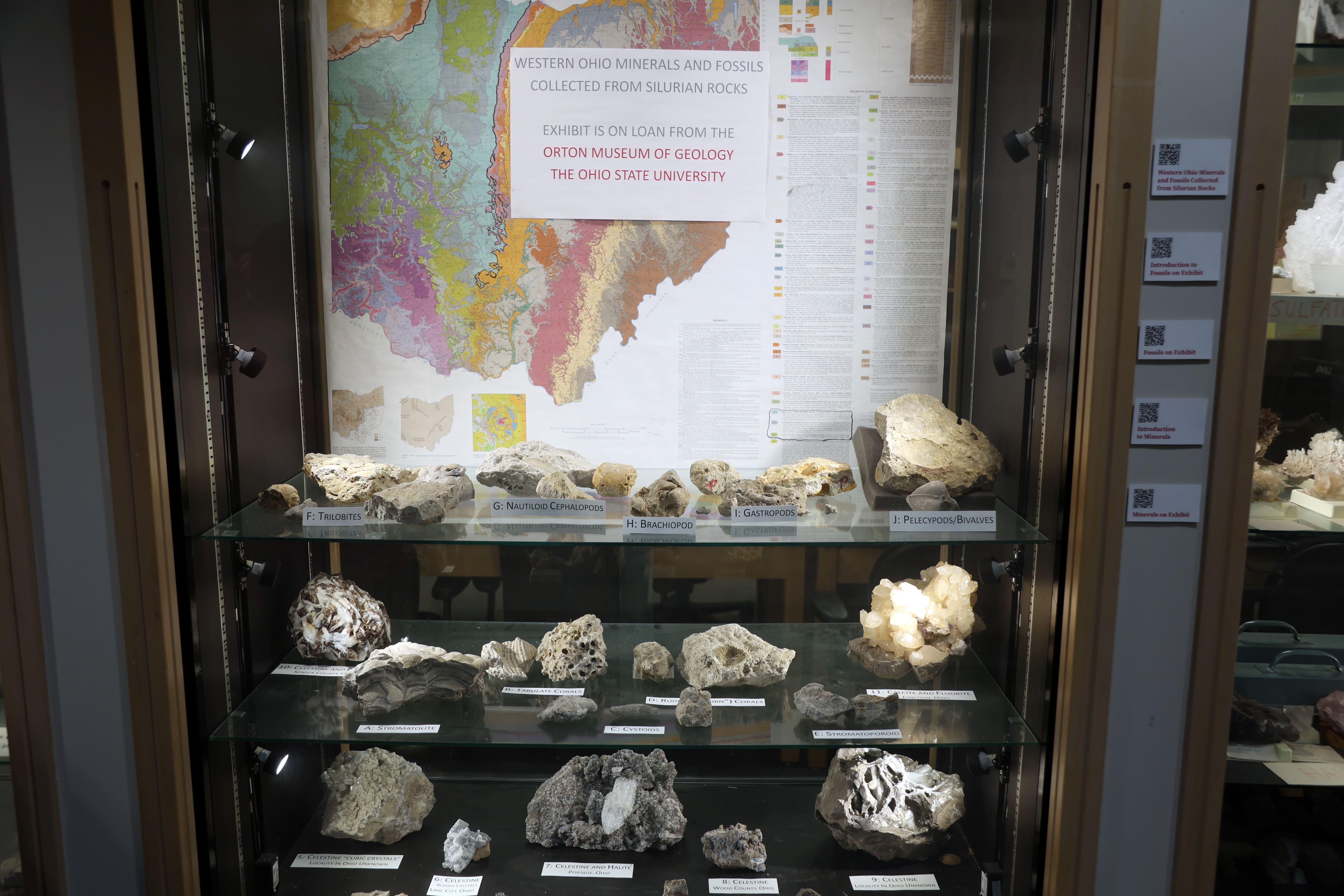 A map of Ohio sits behind fossils and minerals on shelves with QR codes next to them