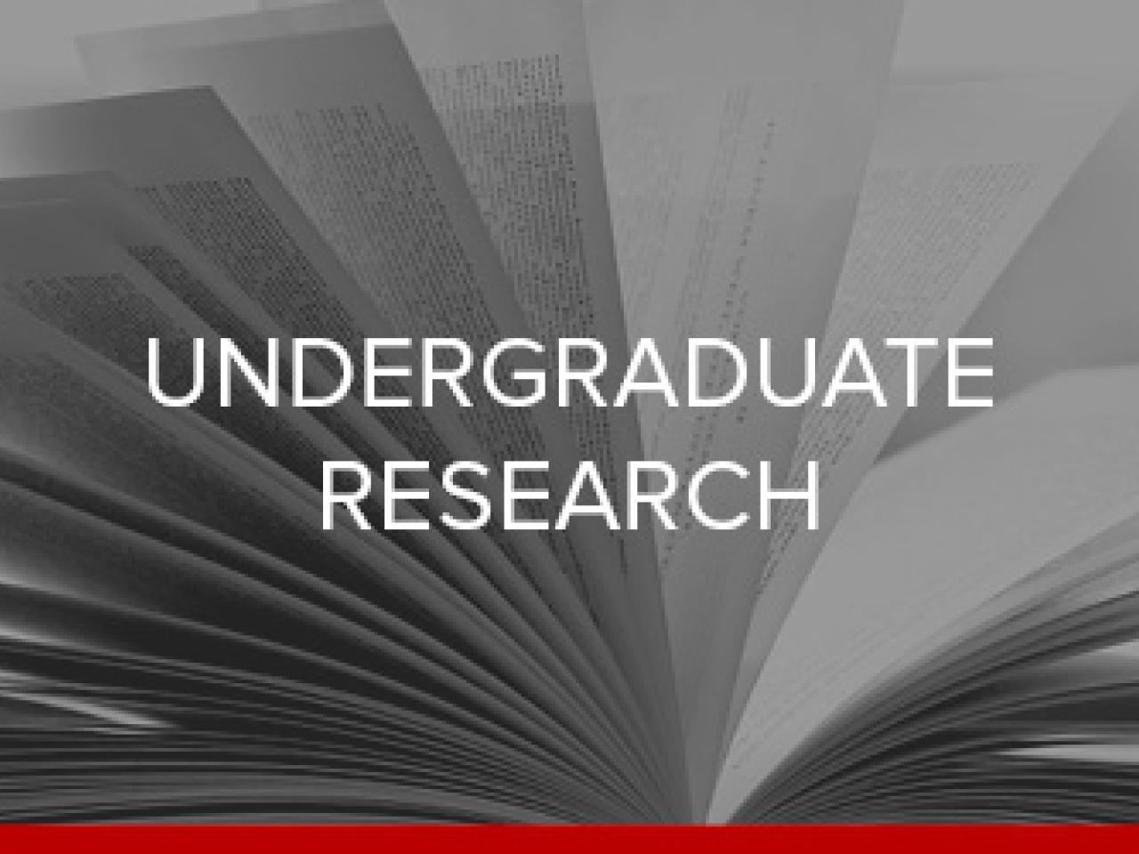 Graphic with text saying Undergraduate Research.