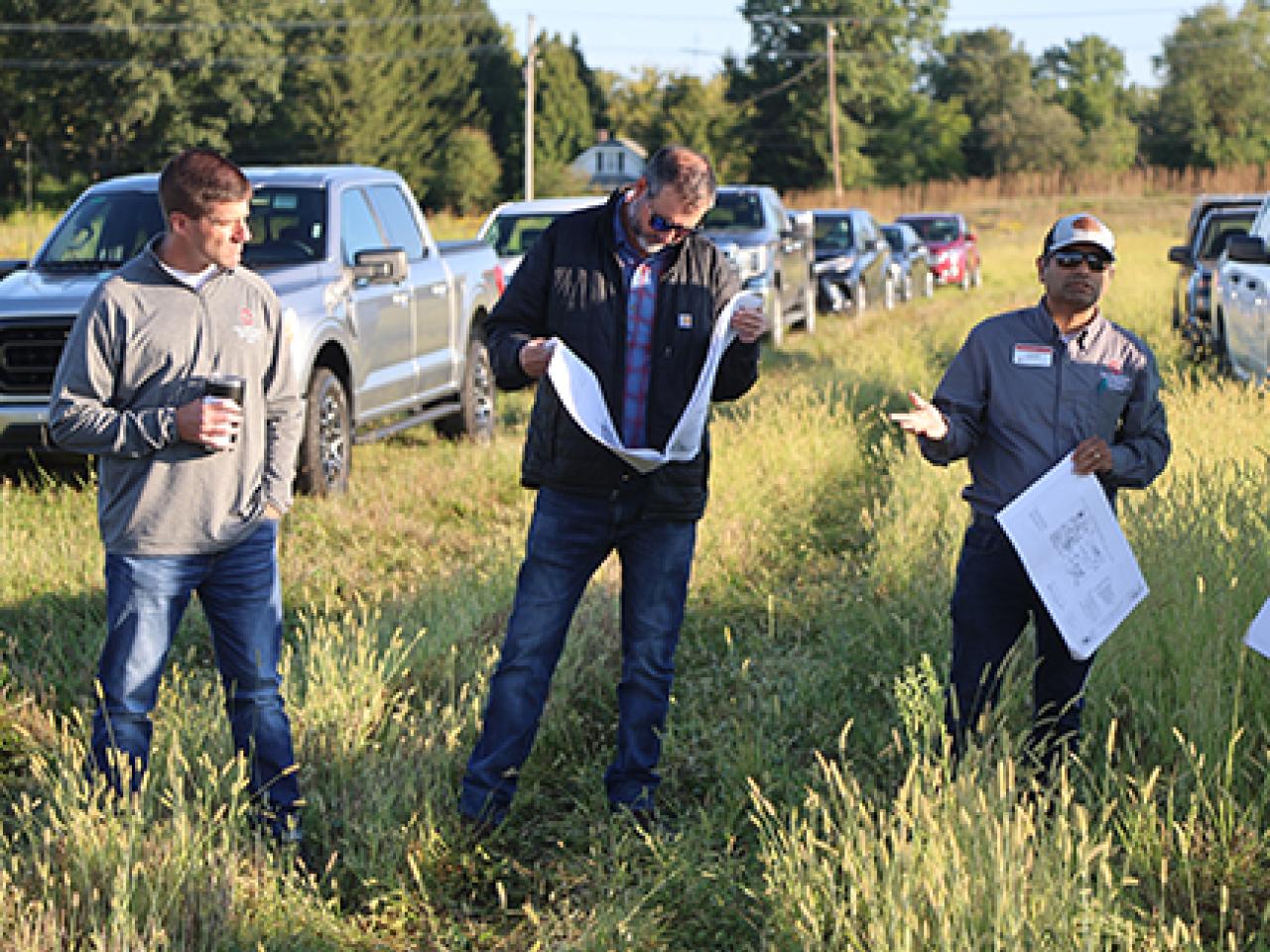 Men in tall grass holding plans