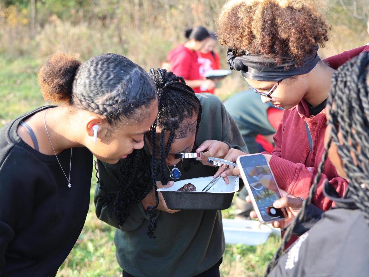 Three girls use a magnifying glass and tweezers to examine macroinvertebrates. 