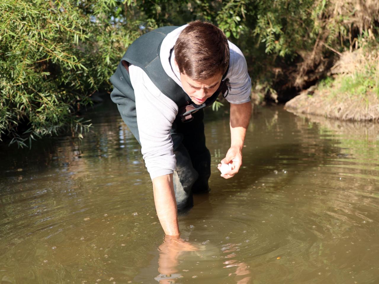 Undergraduate researcher Carter Welch dips water out of the Lost Creek in waders.