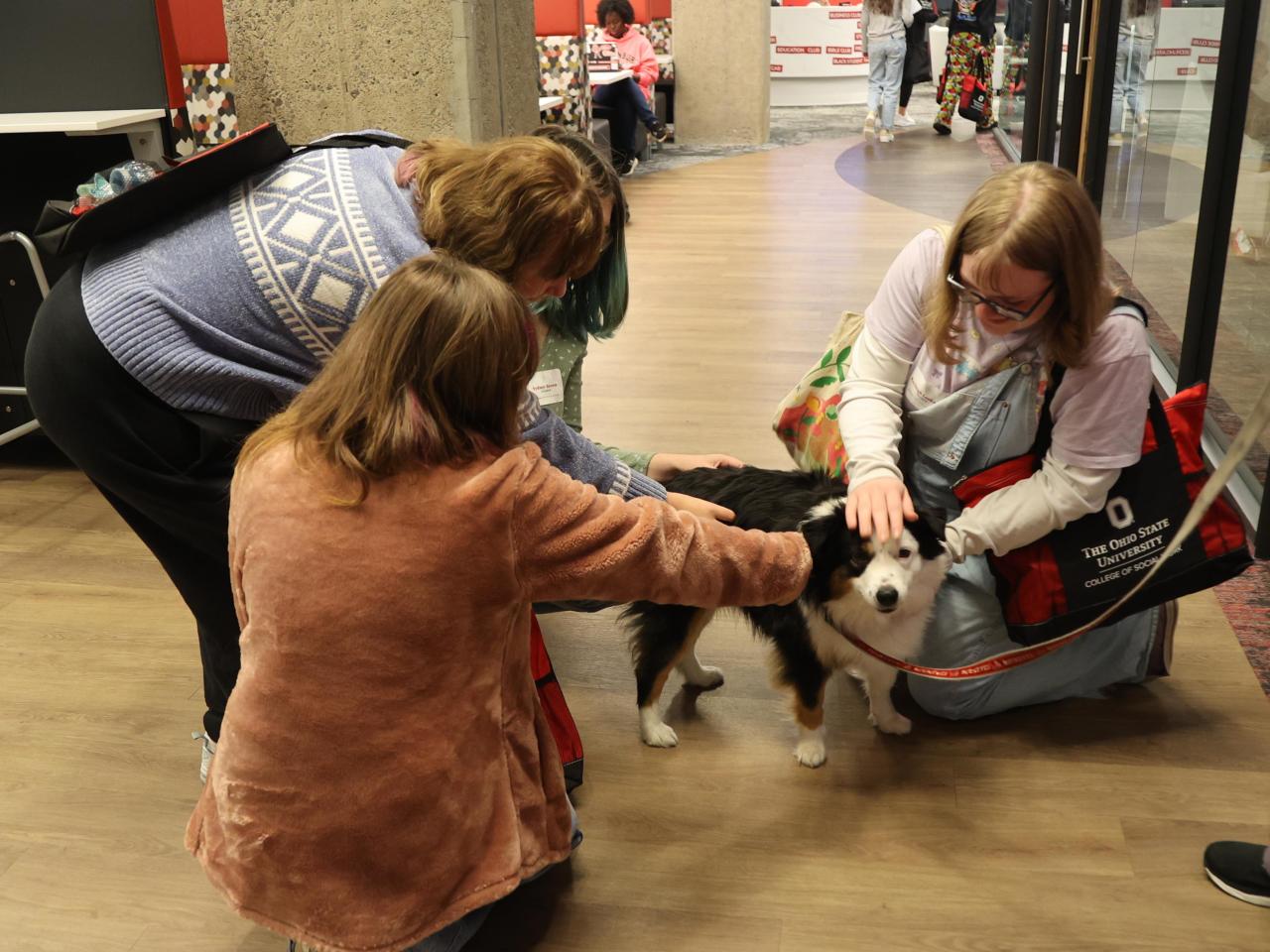 The campus therapy dog hangs out with students