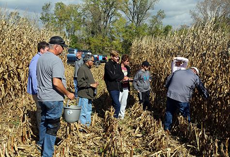 Students test corn plants in field