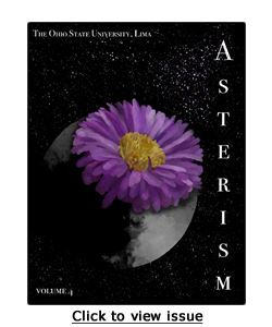 Asterism vol 4