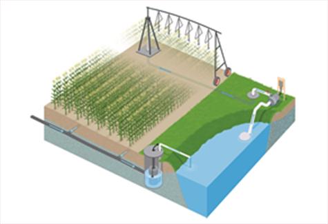 drainage water recycling system, field with overhead irrigation and retention pond