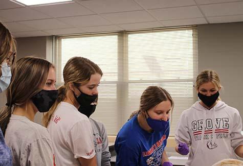 Students examine items in the anatomy lab