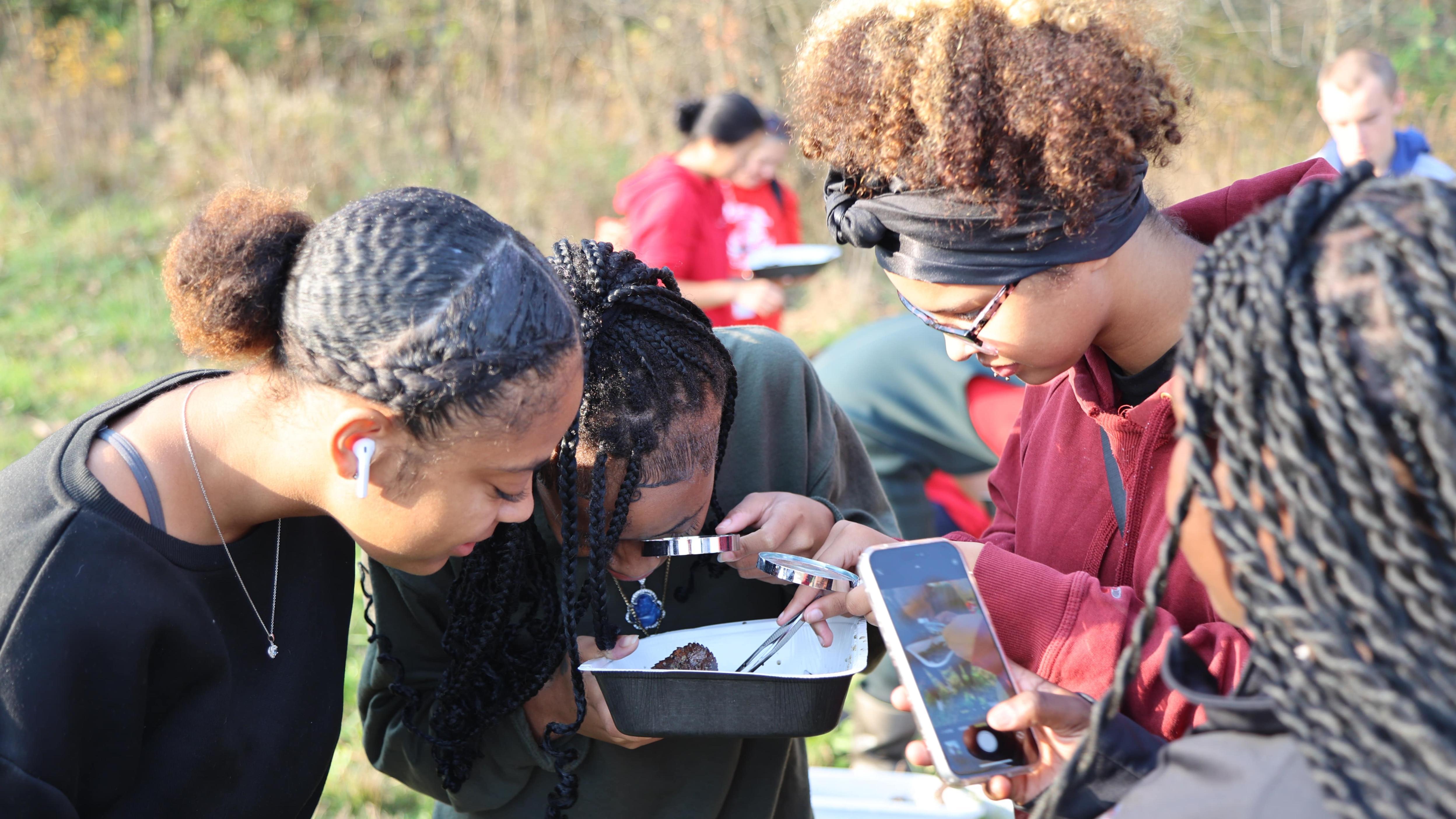 Three girls use a magnifying glass and tweezers to examine macroinvertebrates. 