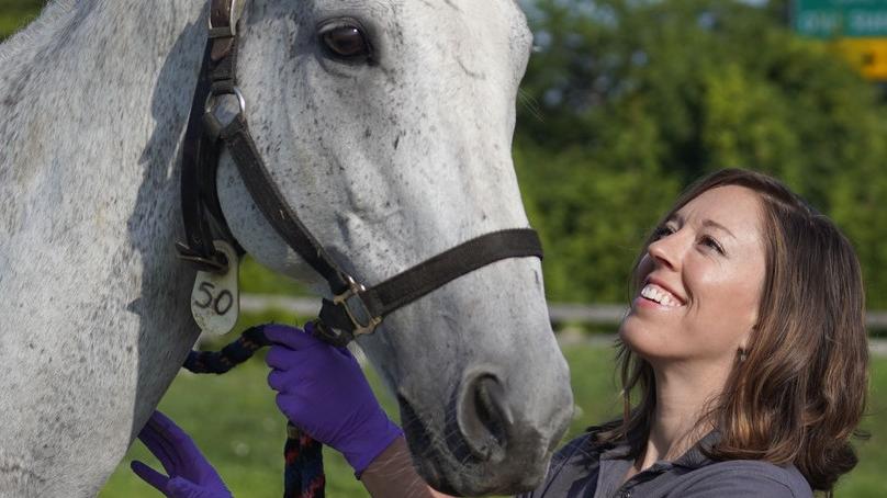 Dr. Alison Gardner, DVM, with a teaching horse