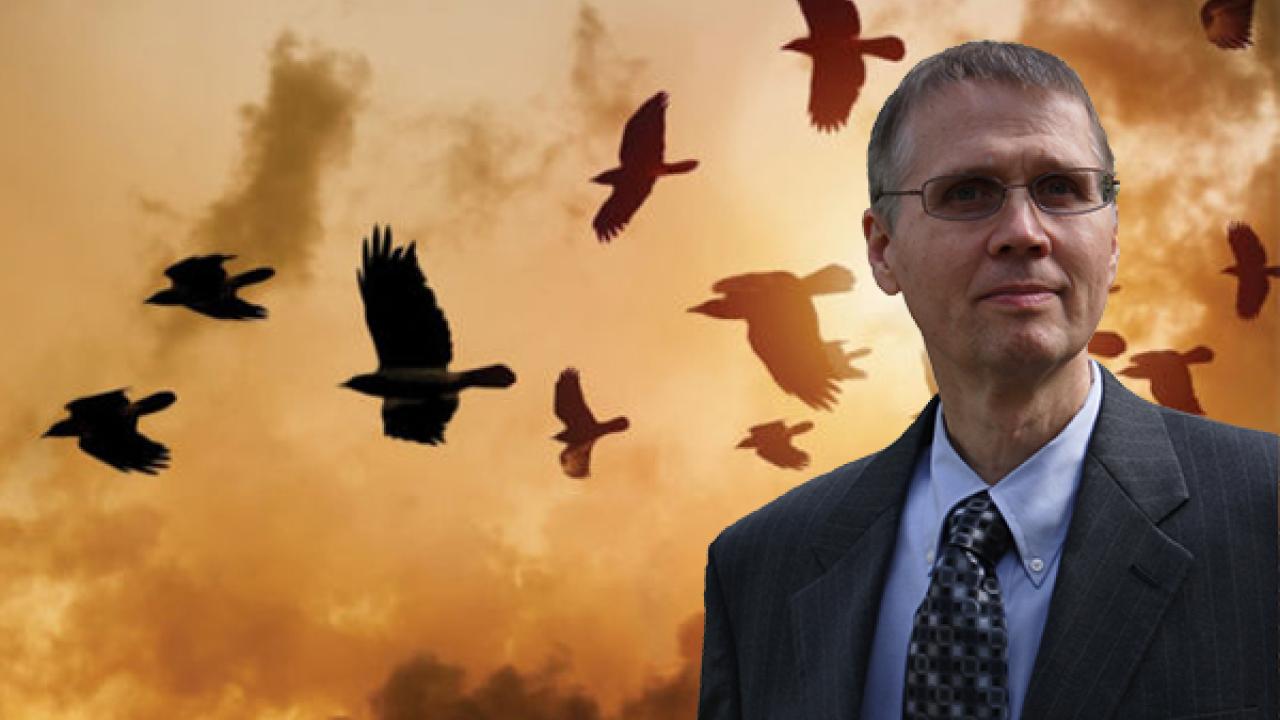 Photo of a man with an edited background with birds